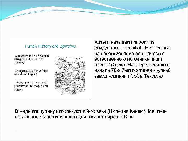 Ацтеки называли пироги из спирулины – Tecuitlati. Нет ссылок на использование ее в качестве