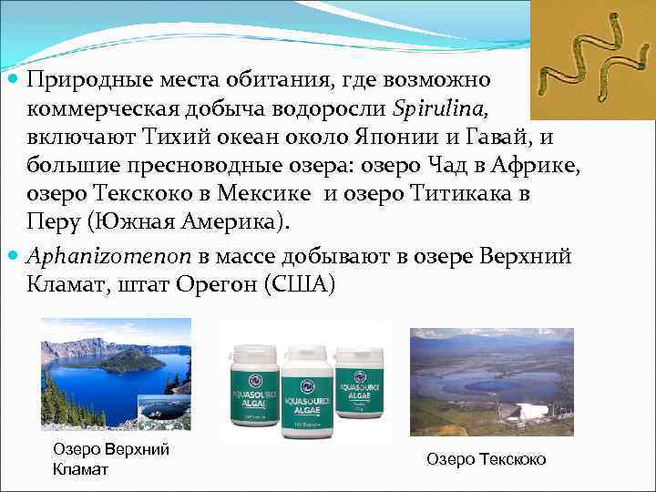  Природные места обитания, где возможно коммерческая добыча водоросли Spirulina, включают Тихий океан около