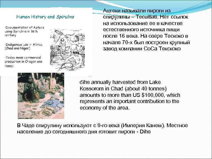 Ацтеки называли пироги из спирулины – Tecuitlati. Нет ссылок на использование ее в качестве