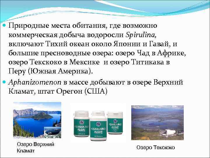  Природные места обитания, где возможно коммерческая добыча водоросли Spirulina, включают Тихий океан около