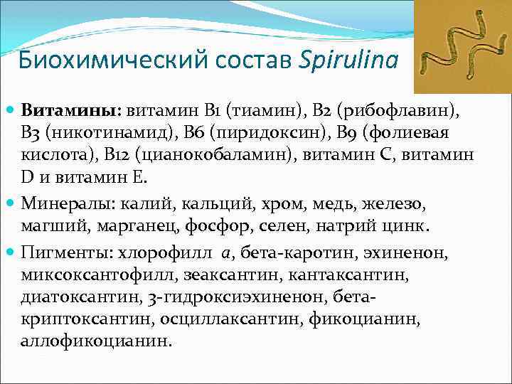 Биохимический состав Spirulina Витамины: витамин B 1 (тиамин), B 2 (рибофлавин), B 3 (никотинамид),