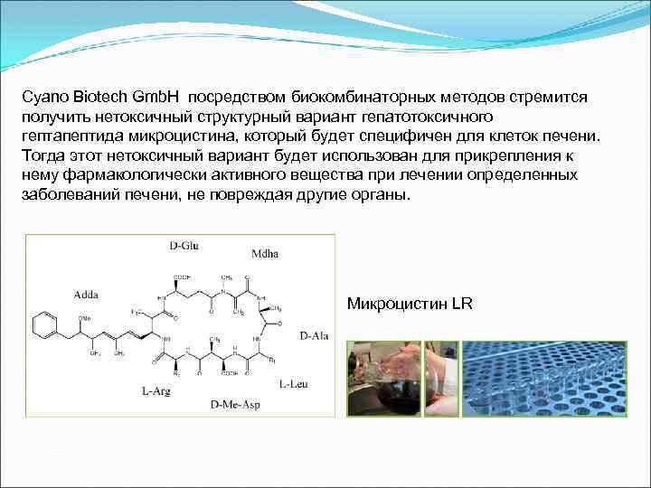 Cyano Biotech Gmb. H посредством биокомбинаторных методов стремится получить нетоксичный структурный вариант гепатотоксичного гептапептида