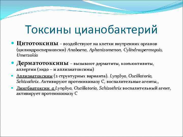 Токсины цианобактерий Цитотоксины – воздействуют на клетки внутренних органов (цилиндроспермопсин) Anabaena, Aphanizomenon, Cylindrospermopsis, Umerzakia