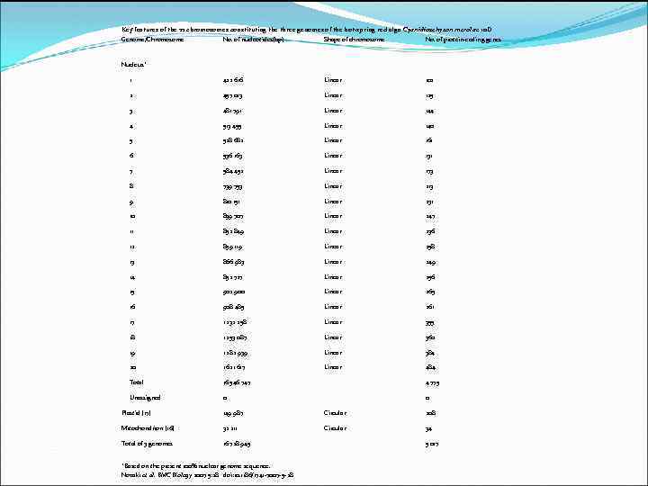 Key features of the 22 chromosomes constituting the three genomes of the hot-spring red