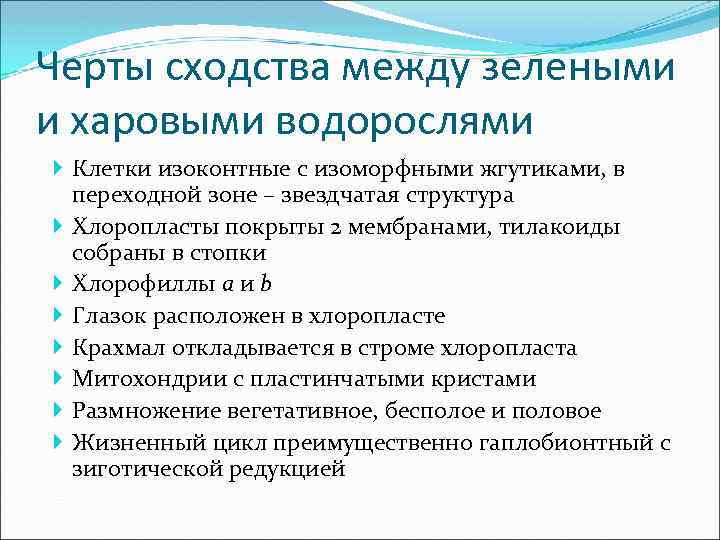 Черты сходства между зелеными и харовыми водорослями Клетки изоконтные с изоморфными жгутиками, в переходной