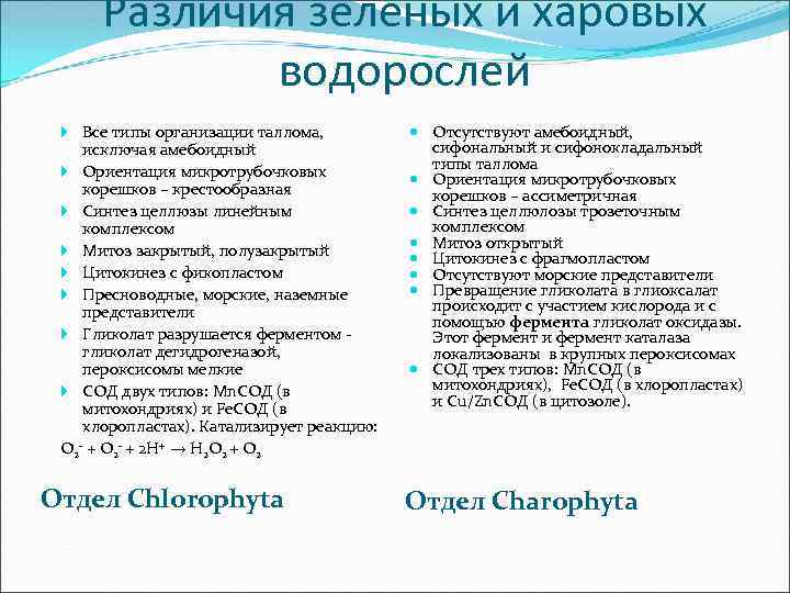 Различия зеленых и харовых водорослей Все типы организации таллома, исключая амебоидный Ориентация микротрубочковых корешков