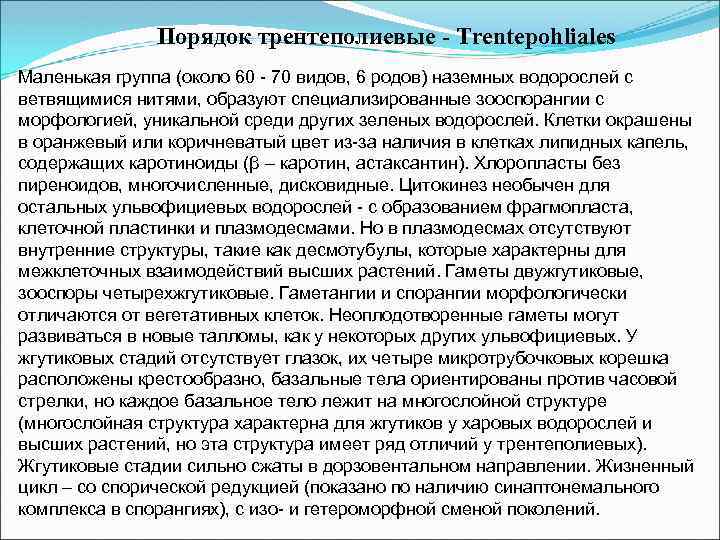 Порядок трентеполиевые - Trentepohliales Маленькая группа (около 60 - 70 видов, 6 родов) наземных