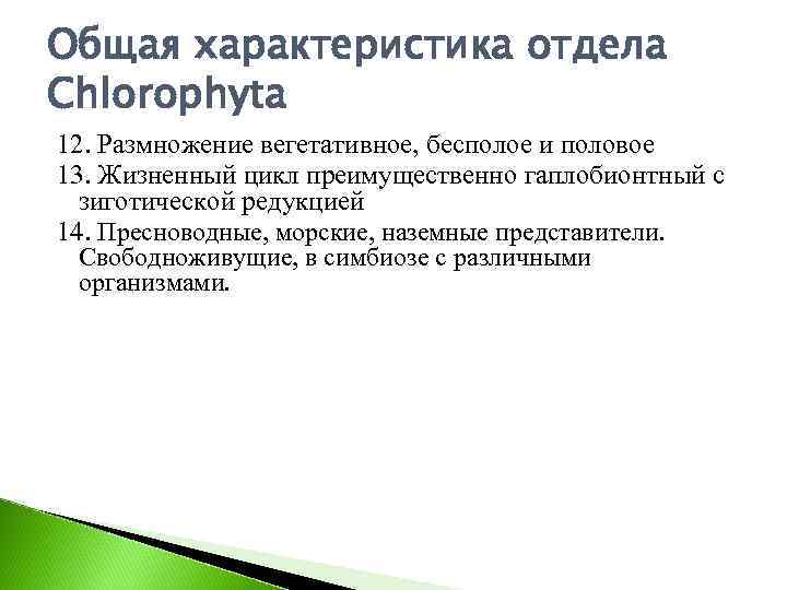 Общая характеристика отдела Chlorophyta 12. Размножение вегетативное, бесполое и половое 13. Жизненный цикл преимущественно