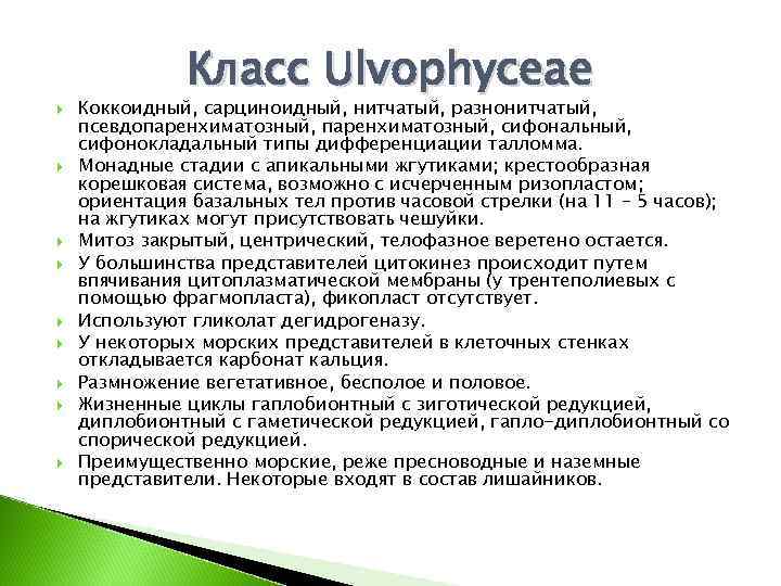  Класс Ulvophyceae Коккоидный, сарциноидный, нитчатый, разнонитчатый, псевдопаренхиматозный, сифональный, сифонокладальный типы дифференциации талломма. Монадные