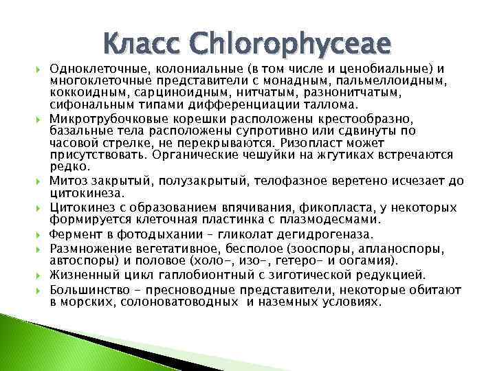  Класс Chlorophyceae Одноклеточные, колониальные (в том числе и ценобиальные) и многоклеточные представители с