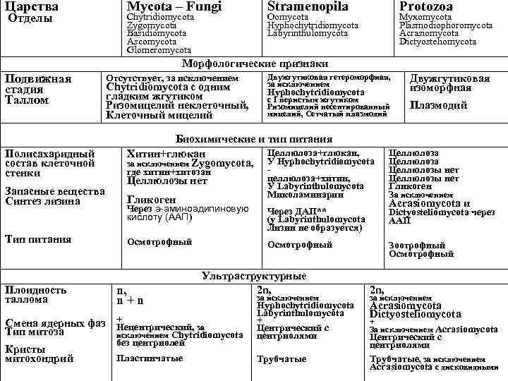 Царства Отделы Mycota – Fungi Chytridiomycota Zygomycota Basidiomycota Ascomycota Glomeromycota Stramenopila Protozoa Oomycota Hyphochytridiomycota