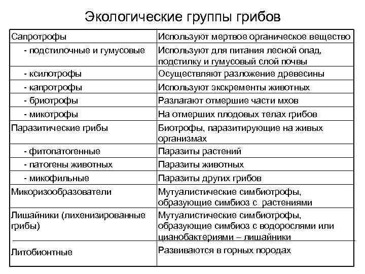 Экологические группы грибов Сапротрофы - подстилочные и гумусовые - ксилотрофы - капротрофы - бриотрофы