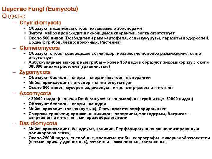 Царство Fungi (Eumycota) Отделы: – Chytridiomycota • Образуют подвижные споры называемые зооспорами • Зигота,