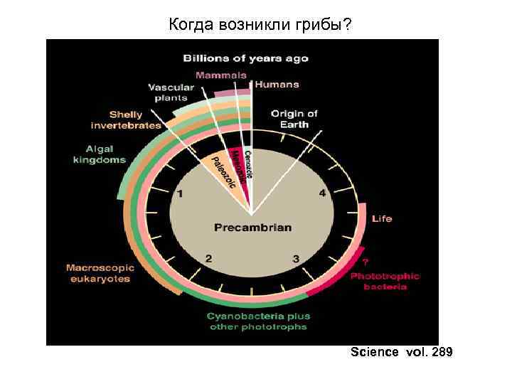 Когда возникли грибы? Science vol. 289 