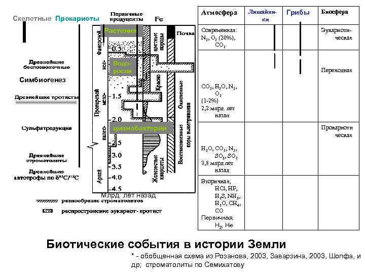 Атмосфера Скелетные Прокариоты Растения Лишайники Современная: N 2, O 2 (20%), CO 2 Водоросли