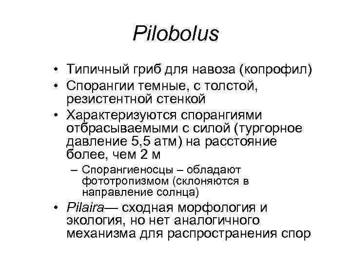 Pilobolus • Типичный гриб для навоза (копрофил) • Спорангии темные, с толстой, резистентной стенкой
