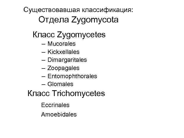 Существовавшая классификация: Отдела Zygomycota Класс Zygomycetes – – – Mucorales Kickxellales Dimargaritales Zoopagales Entomophthorales