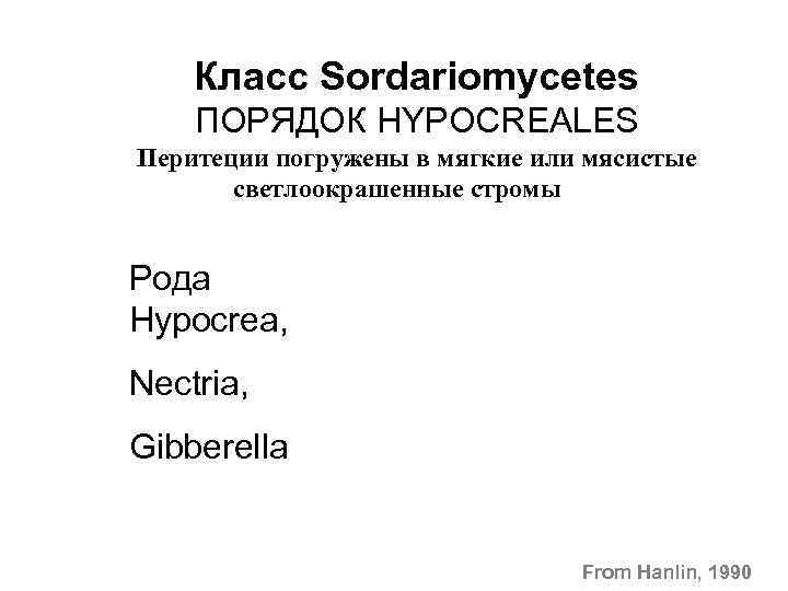 Класс Sordariomycetes ПОРЯДОК HYPOCREALES Перитеции погружены в мягкие или мясистые светлоокрашенные стромы Рода Hypocrea,