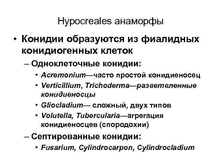 Hypocreales анаморфы • Конидии образуются из фиалидных конидиогенных клеток – Одноклеточные конидии: • Acremonium—часто