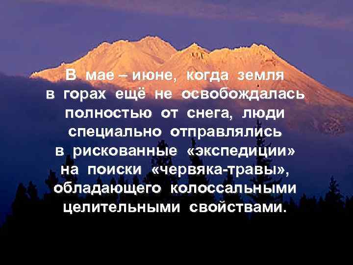 В мае – июне, когда земля в горах ещё не освобождалась полностью от снега,