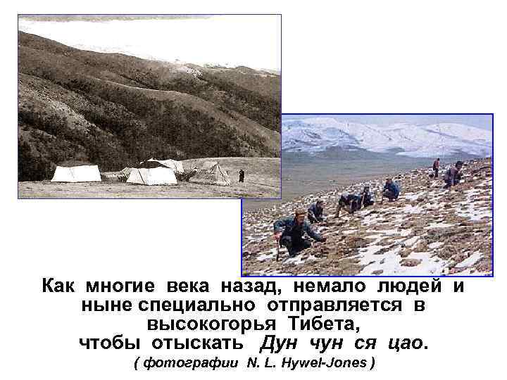 Как многие века назад, немало людей и ныне специально отправляется в высокогорья Тибета, чтобы