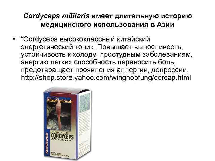 Cordyceps militaris имеет длительную историю медицинского использования в Азии • “Cordyceps высококлассный китайский энергетический