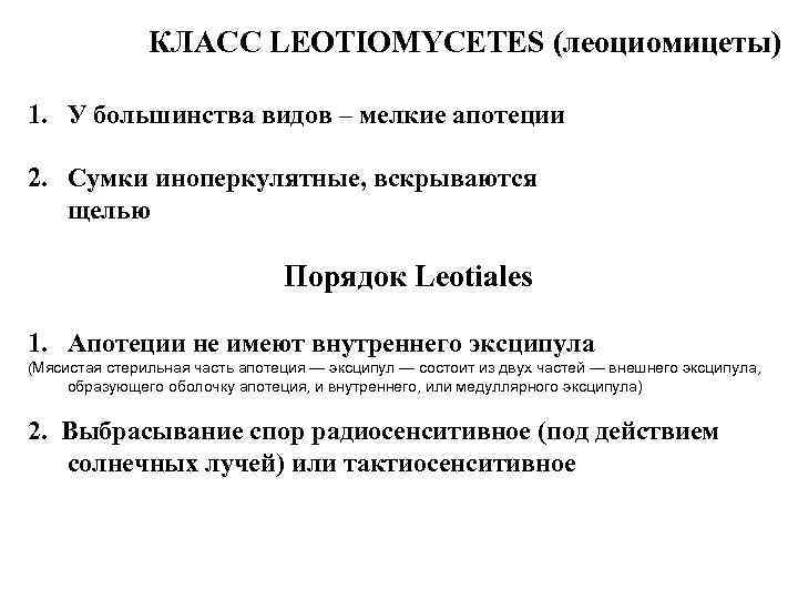 КЛАСС LEOTIOMYCETES (леоциомицеты) 1. У большинства видов – мелкие апотеции 2. Сумки иноперкулятные, вскрываются