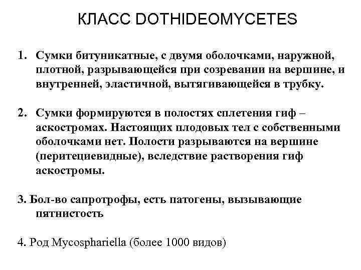 КЛАСС DOTHIDEOMYCETES 1. Сумки битуникатные, с двумя оболочками, наружной, плотной, разрывающейся при созревании на