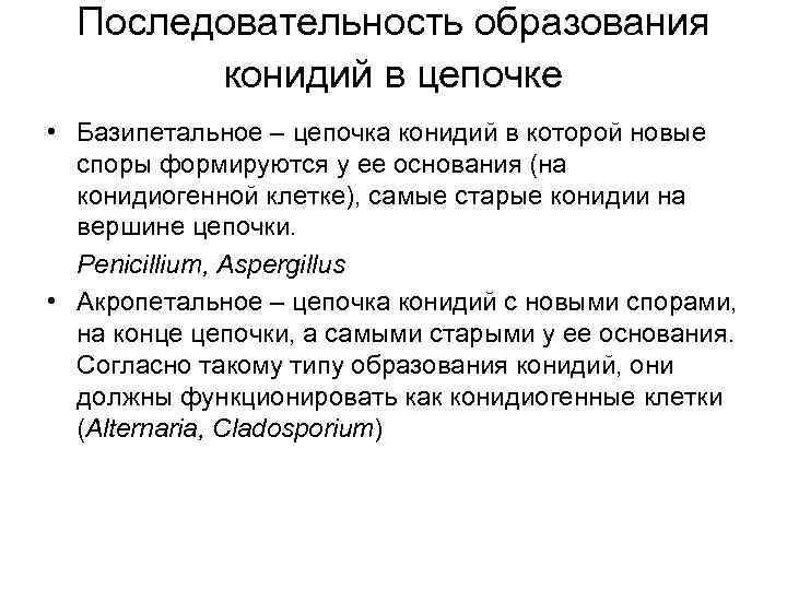 Последовательность образования конидий в цепочке • Базипетальное – цепочка конидий в которой новые споры
