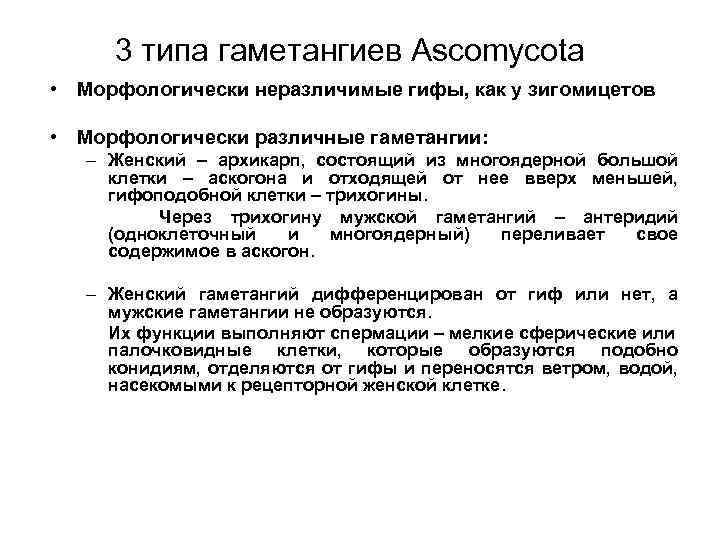 3 типа гаметангиев Ascomycota • Морфологически неразличимые гифы, как у зигомицетов • Морфологически