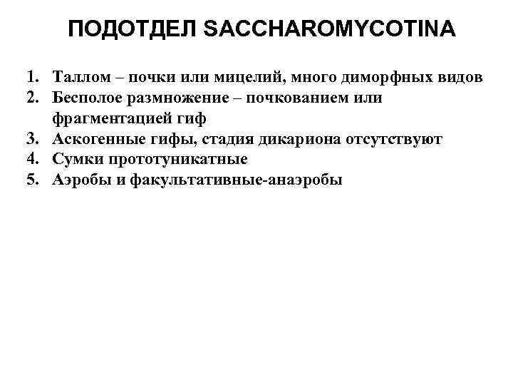ПОДОТДЕЛ SACCHAROMYCOTINA 1. Таллом – почки или мицелий, много диморфных видов 2. Бесполое размножение