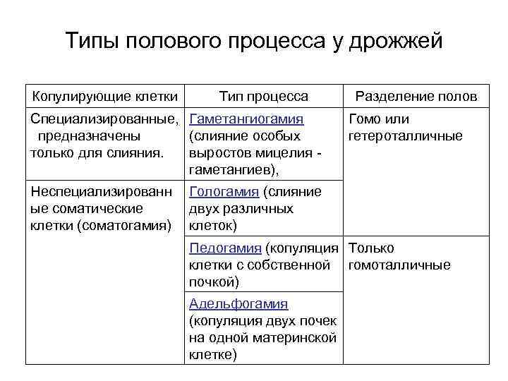 Типы полового процесса у дрожжей Копулирующие клетки Тип процесса Специализированные, Гаметангиогамия предназначены (слияние особых