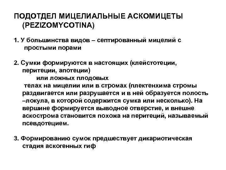 ПОДОТДЕЛ МИЦЕЛИАЛЬНЫЕ АСКОМИЦЕТЫ (PEZIZOMYCOTINA) 1. У большинства видов – септированный мицелий с простыми порами