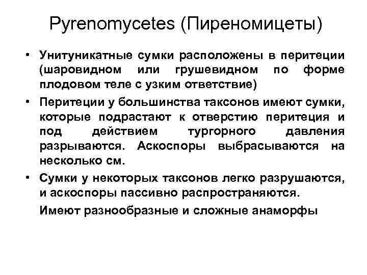 Pyrenomycetes (Пиреномицеты) • Унитуникатные сумки расположены в перитеции (шаровидном или грушевидном по форме плодовом