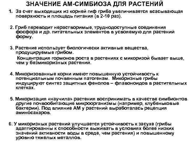 ЗНАЧЕНИЕ АМ-СИМБИОЗА ДЛЯ РАСТЕНИЙ 1. За счет выходящих из корней гиф гриба увеличивается всасывающая