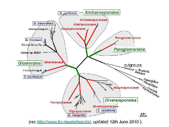 (по: http: //www. lrz-muenchen. de/, updated 12 th June 2010 ) 