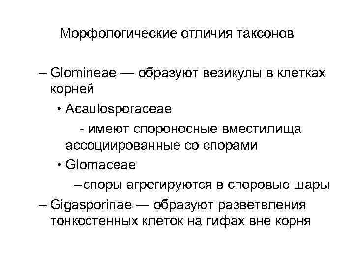 Морфологические отличия таксонов – Glomineae — образуют везикулы в клетках корней • Acaulosporaceae -