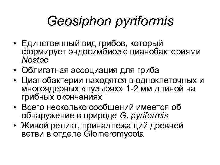 Geosiphon pyriformis • Единственный вид грибов, который формирует эндосимбиоз с цианобактериями Nostoc • Облигатная