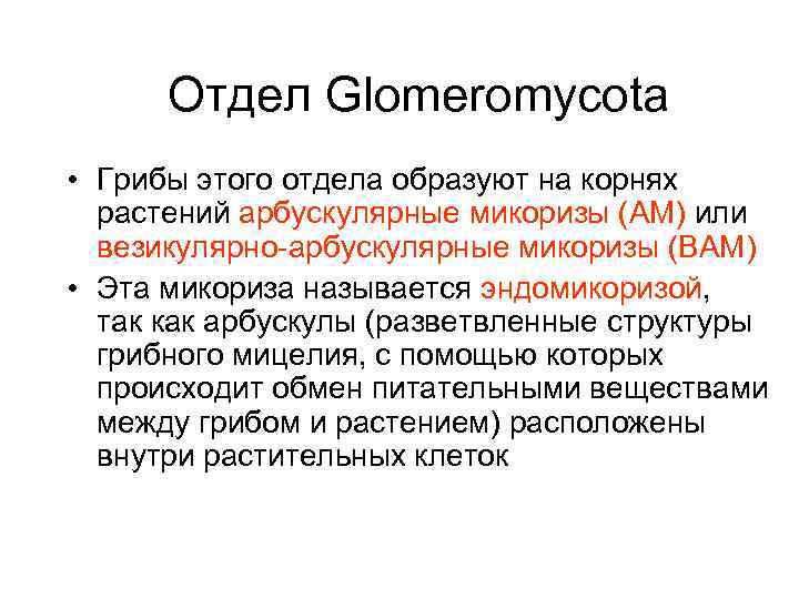 Отдел Glomeromycota • Грибы этого отдела образуют на корнях растений арбускулярные микоризы (АМ) или