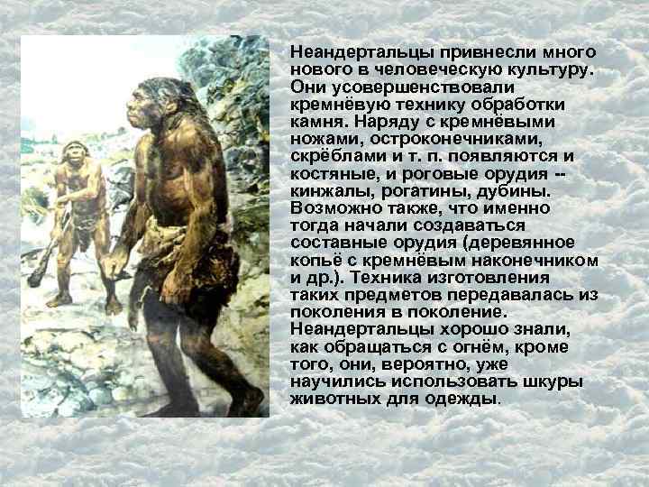Неандертальцы привнесли много нового в человеческую культуру. Они усовершенствовали кремнёвую технику обработки камня. Наряду