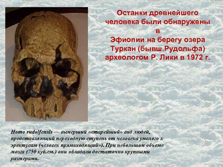 Останки древнейшего человека были обнаружены в Эфиопии на берегу озера Туркан (бывш. Рудольфа) археологом
