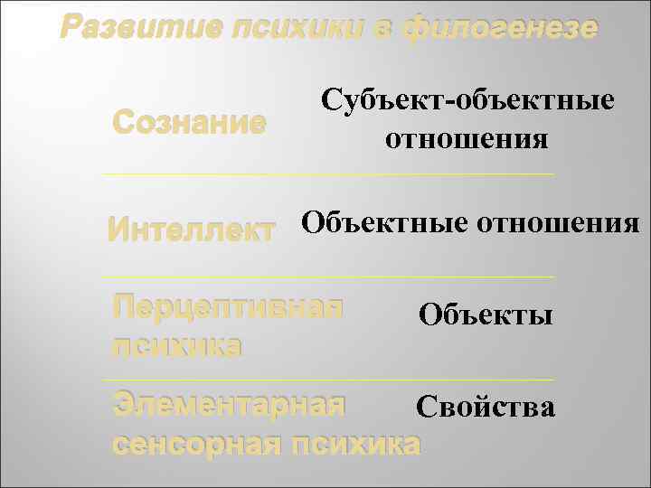 Развитие психики в филогенезе Сознание Субъект-объектные отношения Интеллект Объектные отношения Перцептивная психика Объекты Элементарная