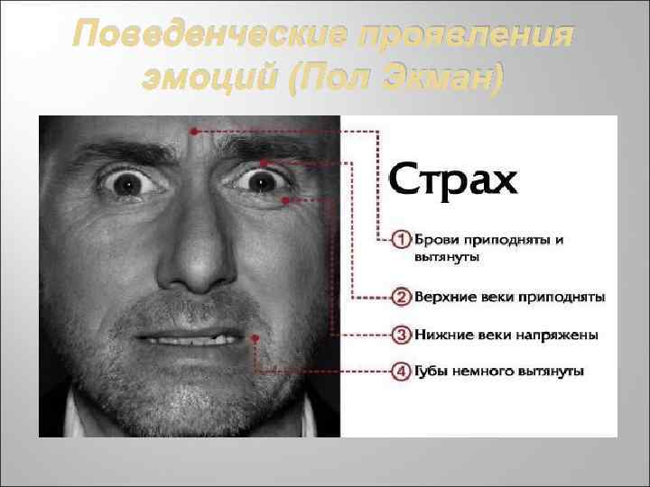 Поведенческие проявления эмоций (Пол Экман) 