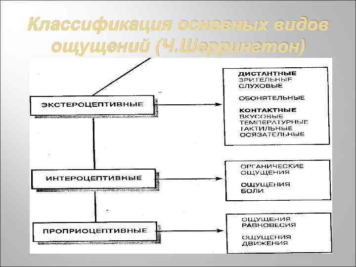 Классификация ощущений в психологии схема