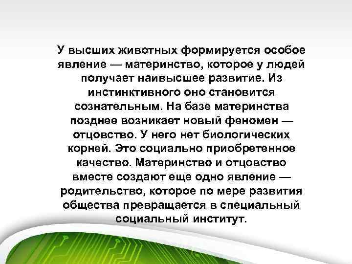 У высших животных формируется особое явление — материнство, которое у людей получает наивысшее развитие.