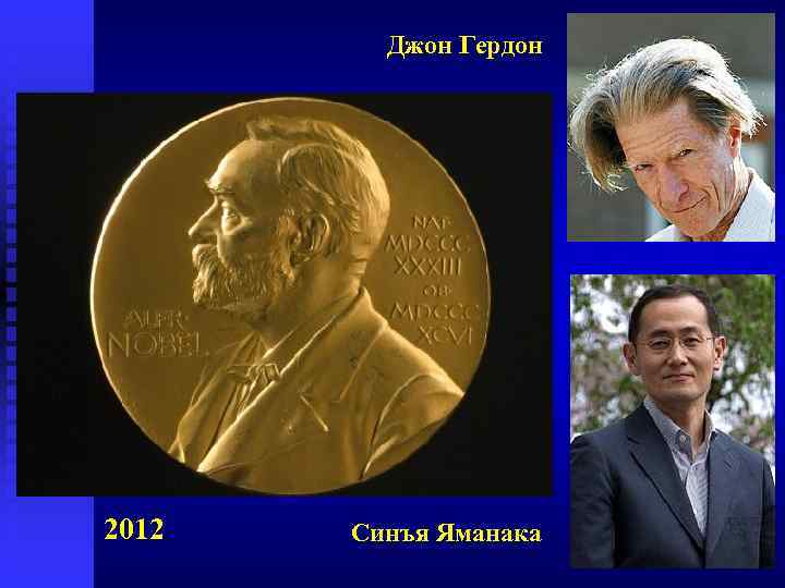 Джон Гердон 2012 Синъя Яманака 