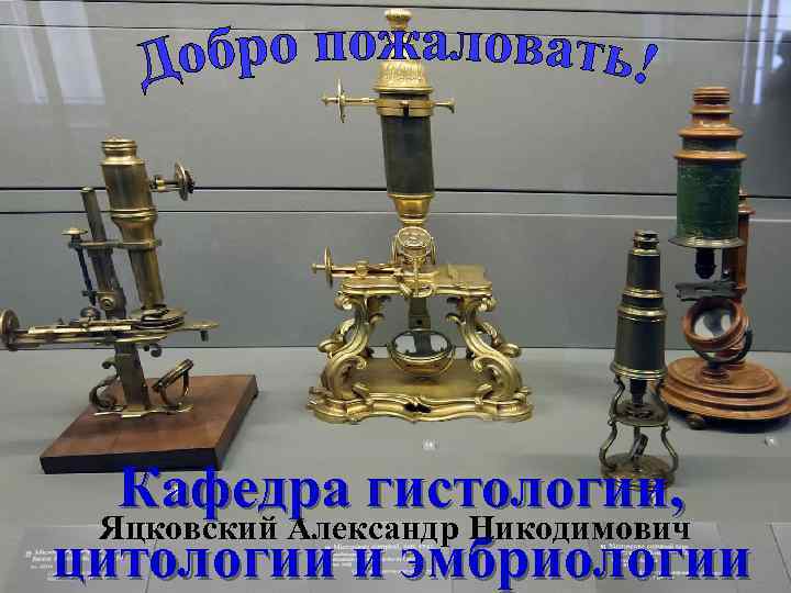 Кафедра гистологии, Яцковский Александр Никодимович цитологии и эмбриологии 