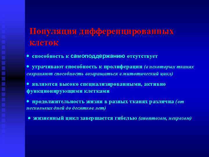 Популяция дифференцированных клеток · способность к самоподдержанию отсутствует · утрачивают способность к пролиферации (в
