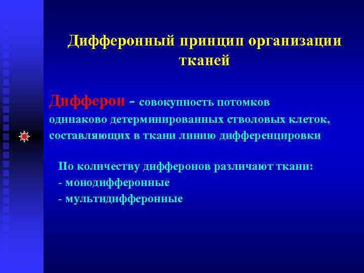 Дифферонный принцип организации тканей Дифферон - совокупность потомков одинаково детерминированных стволовых клеток, составляющих в