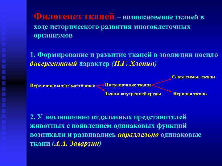 Происхождение тканей. Развитие тканей в филогенезе. Теории развития тканей в филогенезе. Теории тканевой эволюции. Источники развития тканей.